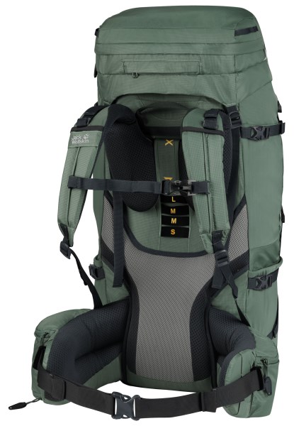 Fashion Denali 65+10 Dames Jack Wolfskin Hedge Groen