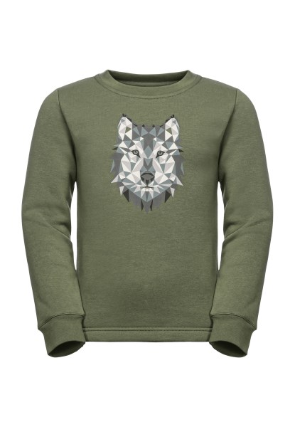 Tijmgroene Trui Voor Huisdieren K Beste Jack Wolfskin