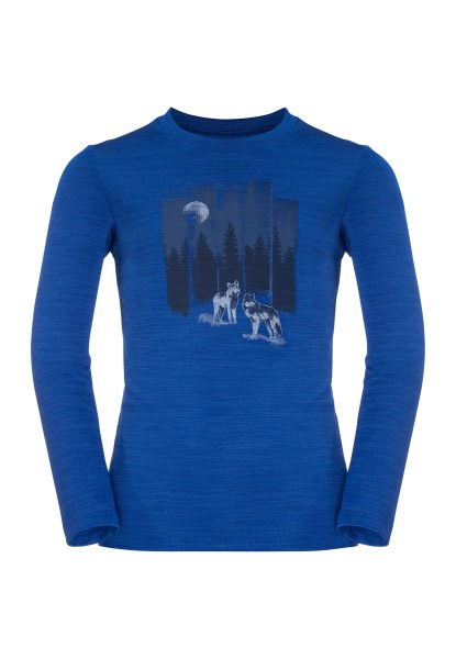 Collecties Jack Wolfskin Vargen Longsleeve K Active Blauw