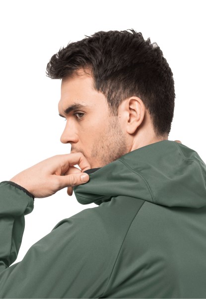 Hedge Green Feldberg Hoody M Origins Jack Wolfskin