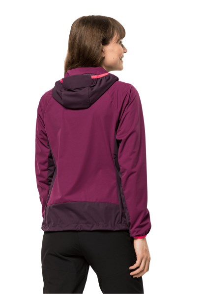 Wilde Bessencollecties Eagle Peak Ii Hoody Met Jack Wolfskin
