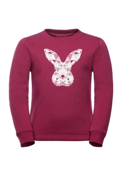 Animal Pullover K Donker Robijn Jack Wolfskin Nieuw