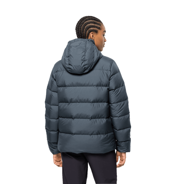 Origineel Bevroren Paleisjack Voor Dames, Slate Blue Jack Wolfskin