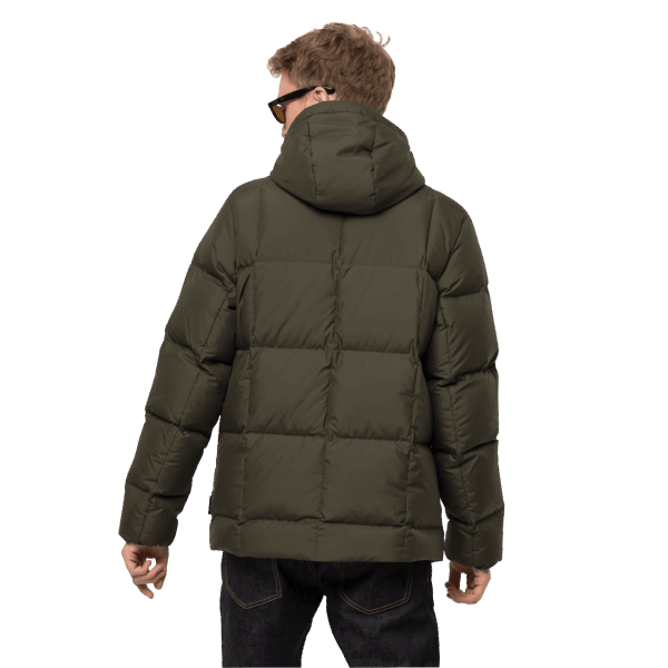 Bonsai Groen Heren Jack Wolfskin Origin Frozen Lake Jas